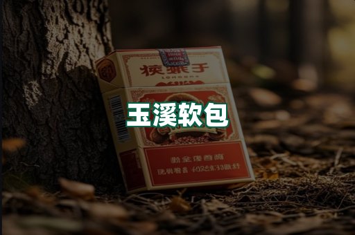 玉溪软包